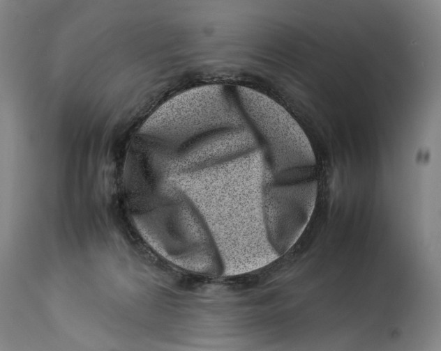 X0000114140224200911051428