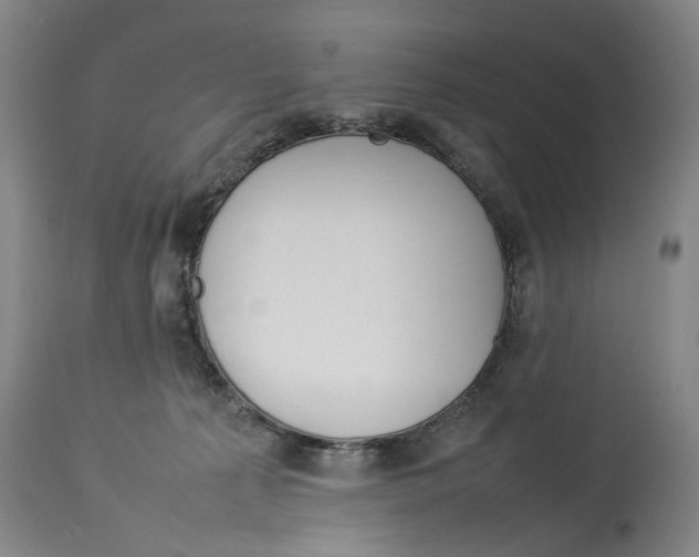 X0000114140225200911051428