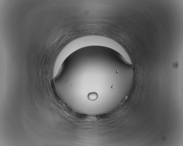 X0000114140227200911051428