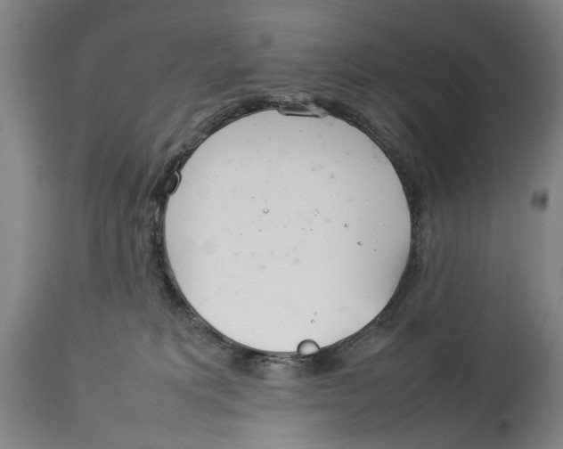 X0000114140229200911051428