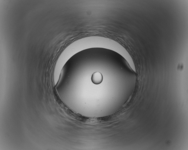 X0000114140231200911051428