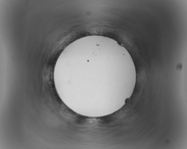 X0000114140233200911051428