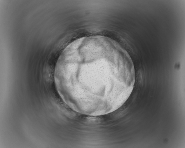 X0000114140234200911051428