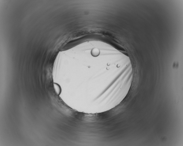 X0000114140240200911051427