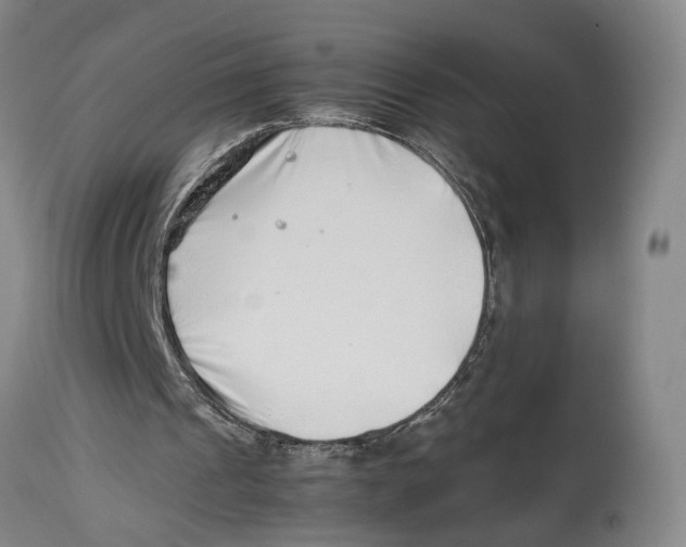 X0000114140241200911051427