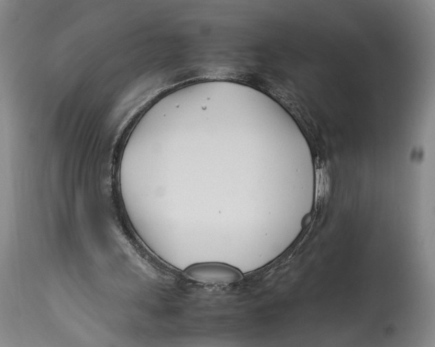 X0000114140243200911051427