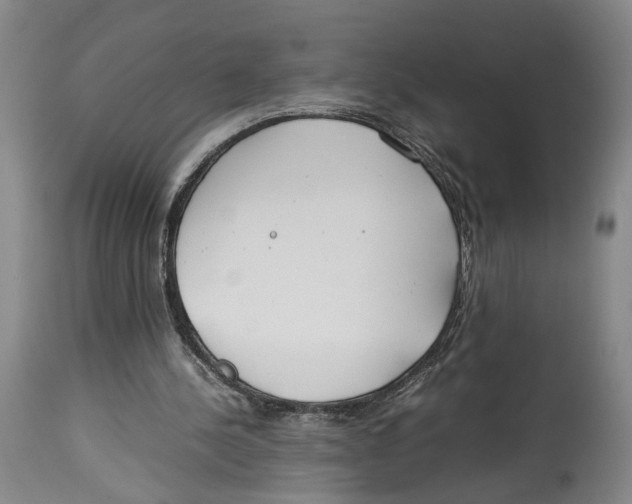 X0000114140244200911051427