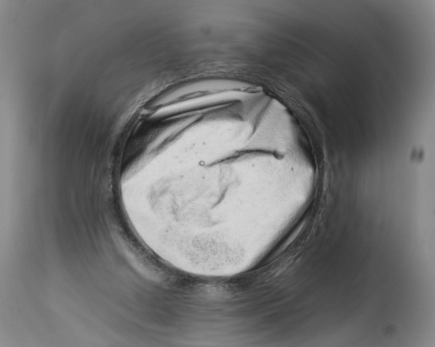 X0000114140250200911051427