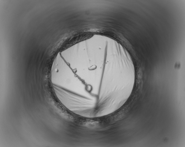 X0000114140257200911051427