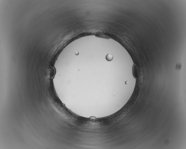 X0000114140260200911051427