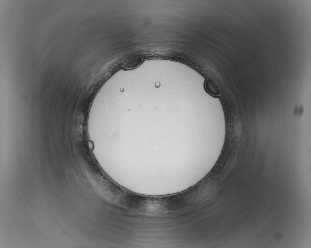 X0000114140264200911051427