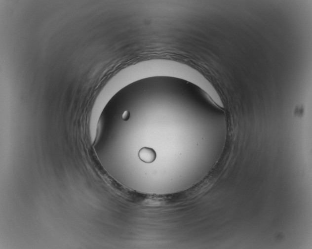 X0000114140280200911051427