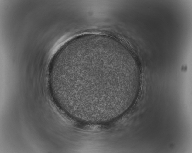 X0000114140295200911051427