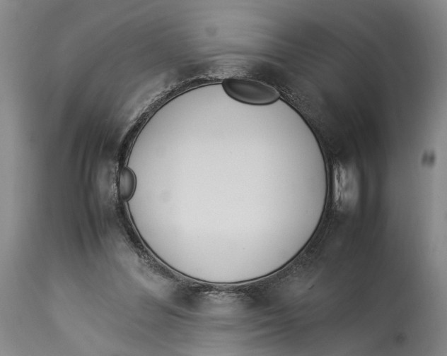 X0000114140300200911051427