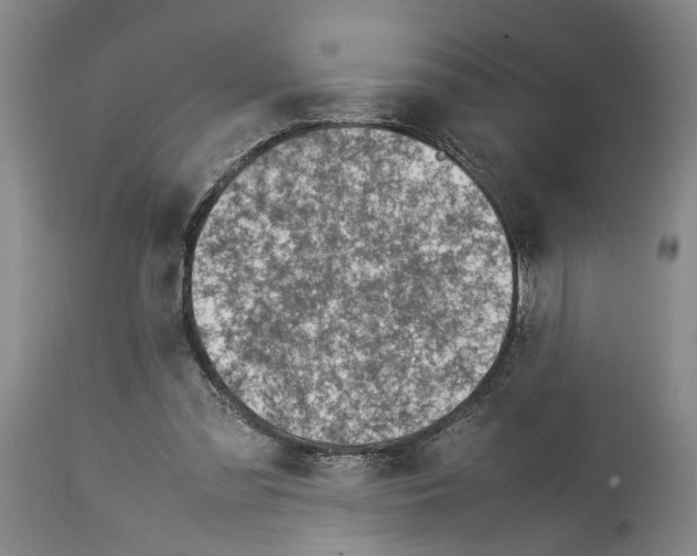 X0000114140301200911051427