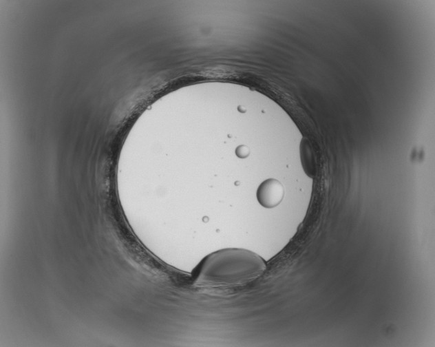 X0000114140303200911051427