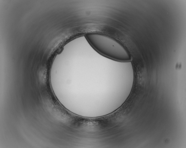 X0000114140304200911051427