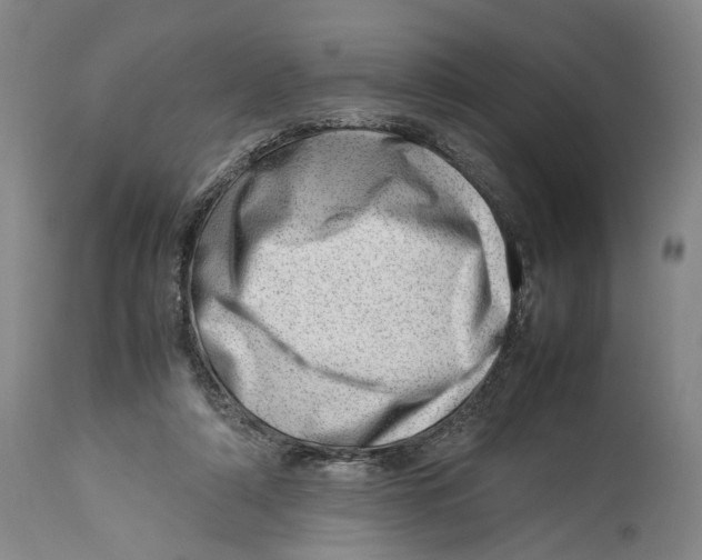 X0000114140306200911051427