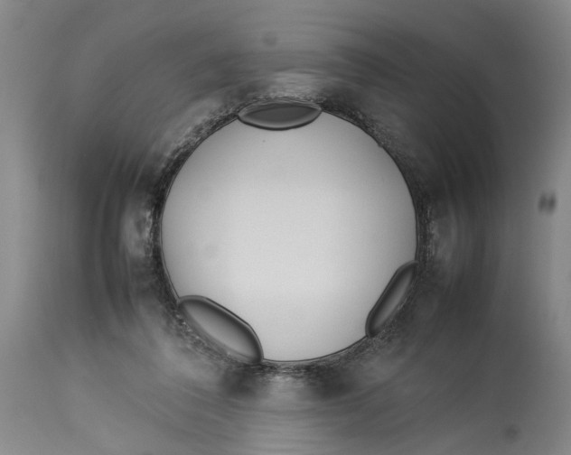 X0000114140308200911051426