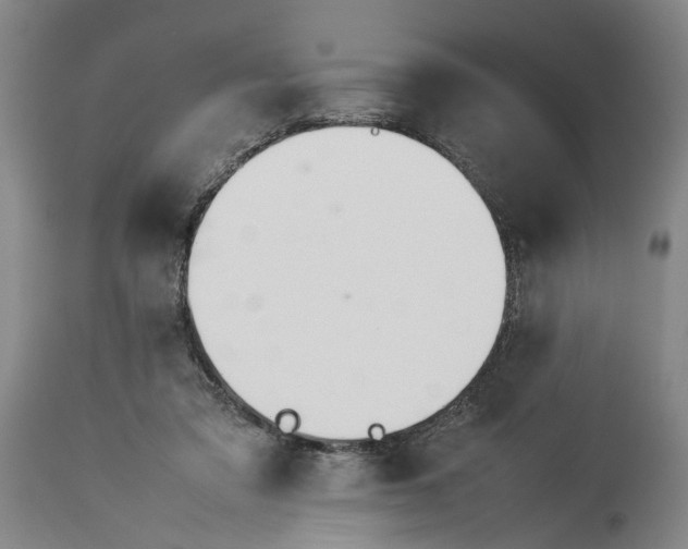 X0000114140309200911051426