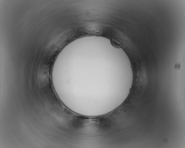 X0000114140320200911051426