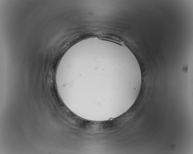 X0000114140325200911051426