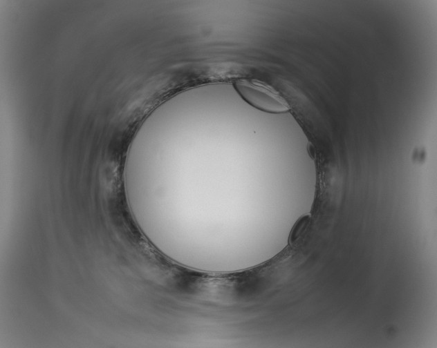 X0000114140327200911051426