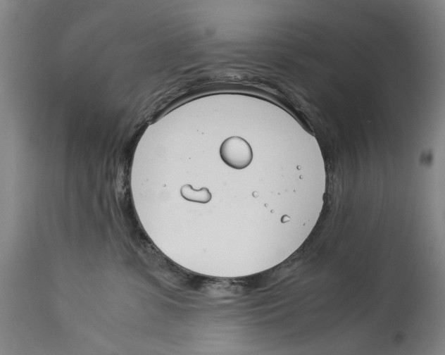 X0000114140331200911051426