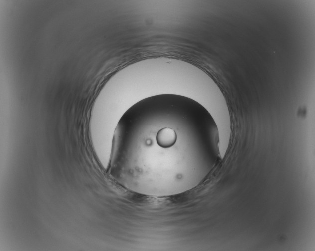 X0000114140333200911051426