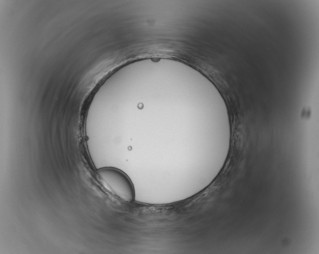 X0000114140338200911051425