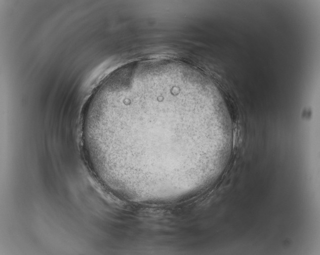 X0000114140339200911051425