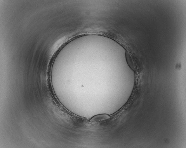 X0000114140340200911051425