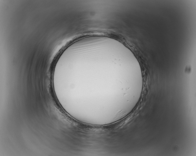 X0000114140342200911051425