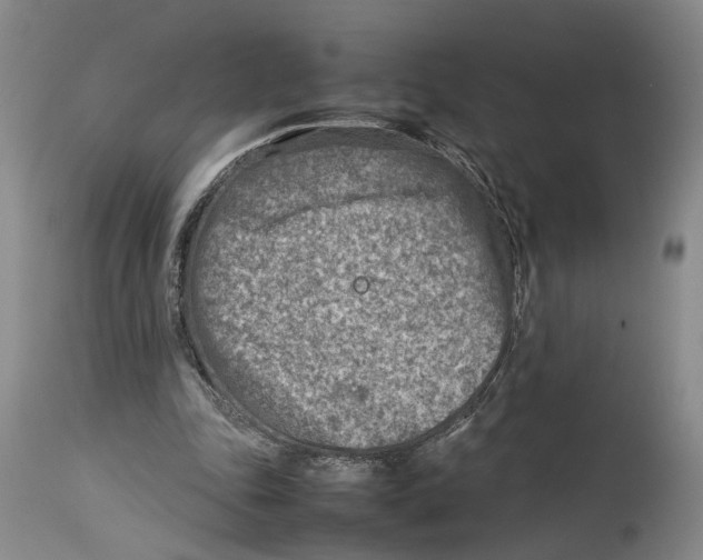 X0000114140343200911051425