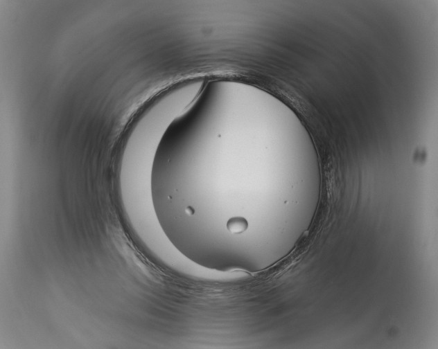 X0000114140350200911051426