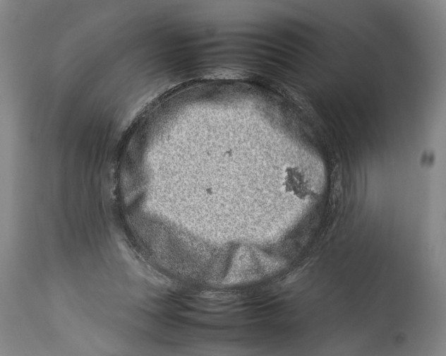 X0000114140351200911051426