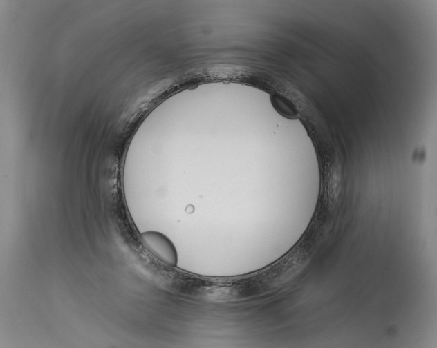 X0000114140356200911051426