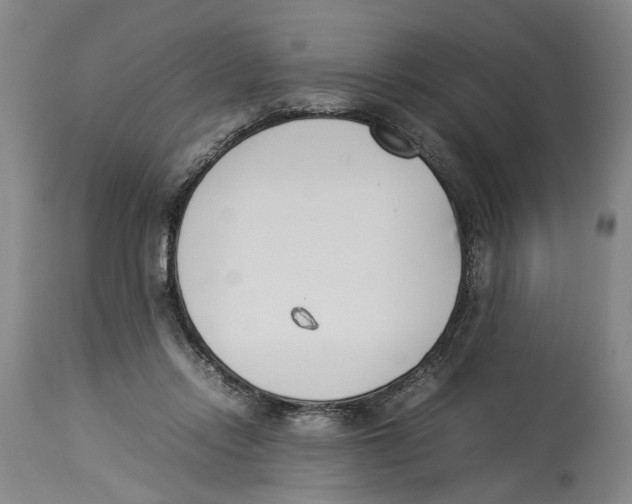 X0000114140358200911051426