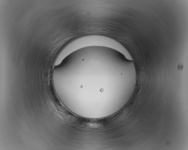 X0000114140360200911051426