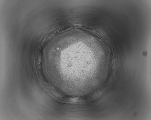 X0000114140365200911051426