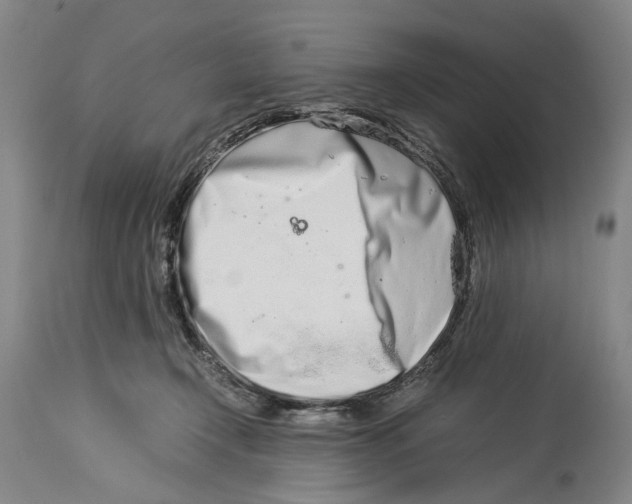 X0000114140366200911051426