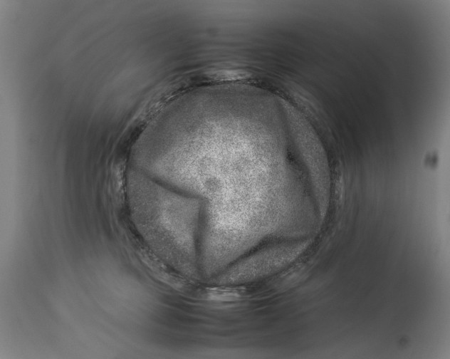 X0000114140373200911051426