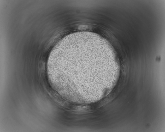 X0000114140375200911051426