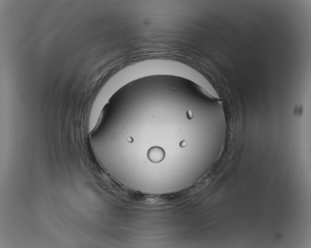 X0000114140376200911051426