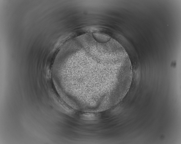 X0000114140381200911051426