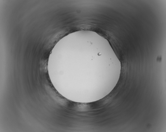 X0000114140383200911051426