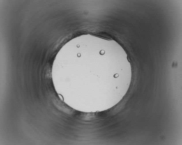 X0000114140384200911051426