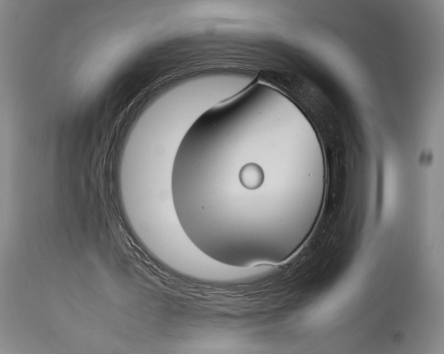 X0000114140387200911051425