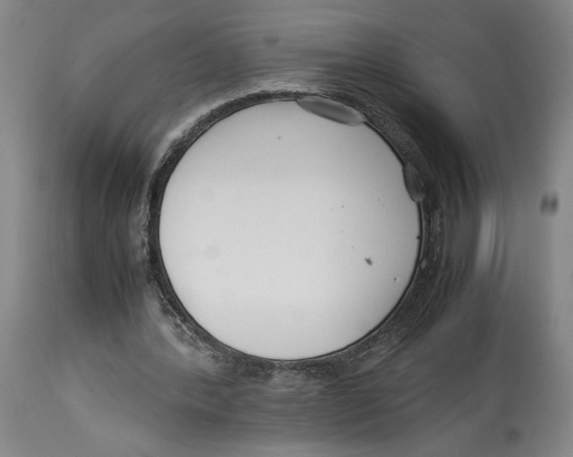 X0000114140388200911051425