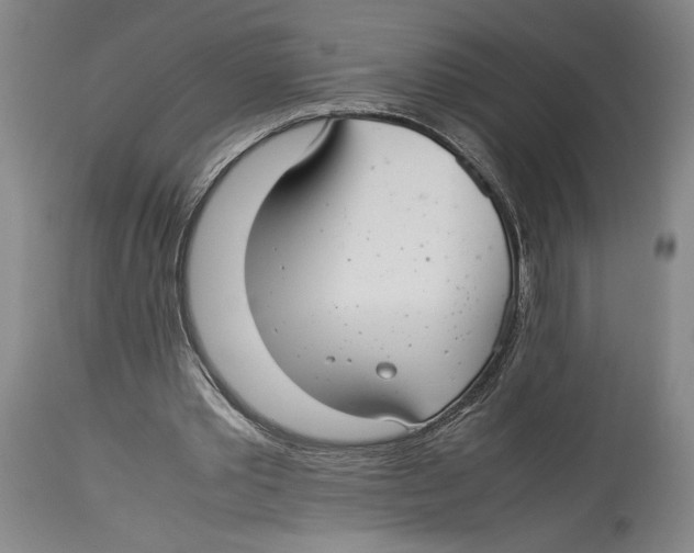 X0000114140389200911051425